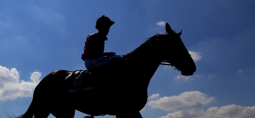 Retired jockeys urged to participate in 'The Jockey Study'